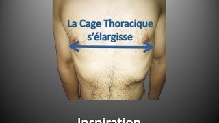 Kinésithérapie Respiratoire 4  Les Types de Respiration [upl. by Assiram]