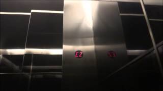 Otis High Speed Traction Skylobby Elevators at JPMorgan Chase Tower Houston Up [upl. by Atnomed]