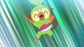 Goh Catches Grookey  Pokemon Master Journeys The Series [upl. by Htbazile]