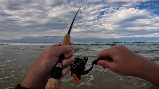 Flathead Fishing Kingscliff [upl. by Atteval]