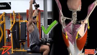 How to Do a Lat Pulldown  Common Mistake [upl. by Yankee]