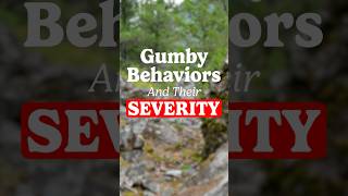 A few gumby climbing behaviors gumbyclimber newclimber newclimbertips rockclimber climber [upl. by Charmian]