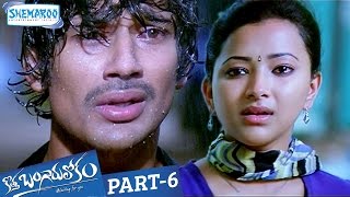 Kotha Bangaru Lokam Telugu Full Movie  Varun Sandesh  Shweta Basu  Part 6  Shemaroo Telugu [upl. by Alonzo]