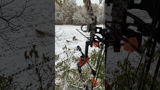 buck hunting deer whitetail missouri lateseason winter snow scrape mathews z3 bowhunting [upl. by Lorne]