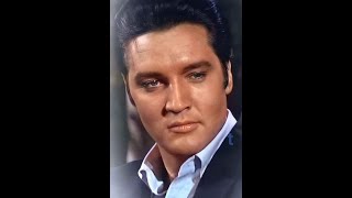 Acapella Elvis 2024 quotFOOLquot [upl. by Yreffej880]