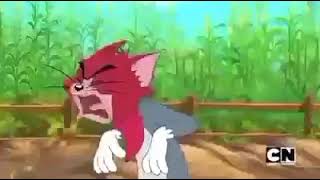 Tom And Jerry Cartoon  Tomatoes Farm  I Love Cartoon [upl. by Yaffit]