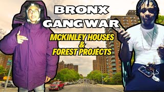 Bronx Gang War  A Forest amp Mckinley Projects Story [upl. by Rama]