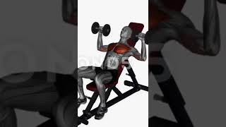 The Ultimate Chest Workout Guide Techniques amp Routines [upl. by Eul146]