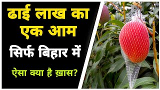 Miyazaki Mango in Bihar आम की क़ीमत लाखों में  जानिए क्या है ख़ास [upl. by Jowett]