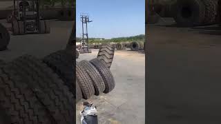 automobile animals tyre tyrepower capybara tyreworld funny tyreexperts [upl. by Stanhope613]