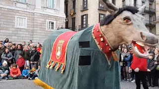 450 anys de la Mulassa de Barcelona I Galop de la Mulassa de Montblanc HD [upl. by Traweek842]