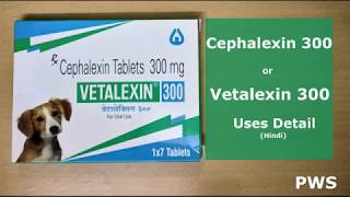 Cephalexin Tablet Vetalexin  for Dogs Information in Hindi [upl. by Keyte938]