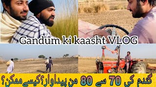 Gandum ki kasht ka trika saraiki vlog by Ahsan Naqvi  Naqvi vlogs [upl. by Hafler]