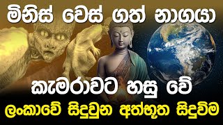 මිනිස් වෙස් ගත් නාගයාකැමරාවට හසු වේ [upl. by Willcox]