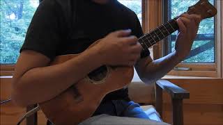 Tears in Heaven Ukulele Solo [upl. by Nostets235]