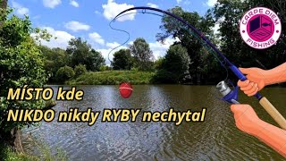 RYBY našich vod  LOV ryb v neprobádaném Mokřadu  žijí tady nějaké druhy ryb [upl. by Etteniuqna312]