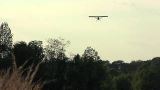 Ground view of Legal Eagle landing on 250 foot strip [upl. by Ishmul]