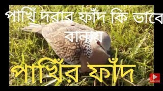 pakhi dhara  pakhi dhara fat  Easy Bird Trap Technology  How to make Colored Pencil Bird Trap [upl. by Fleck]