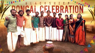 Blacksheep Pongal Celebration🥳💥  Blacksheep [upl. by Yeslah]