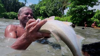 Awesome Traditional Fishing in Dighi Best Catfish Fishing by Polo Amazing Fishing Video fish [upl. by Aivatco]