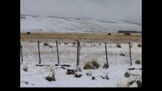 Al Sur del Viento Ruben Patagonia [upl. by Ecarg]