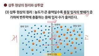 화학217 묽은 용액의 총괄성2 [upl. by Itsyrc]