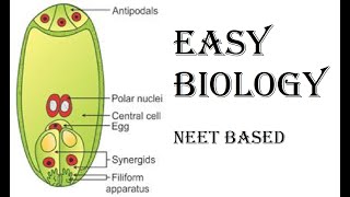 Megasporogenesis and Development of Monosporic Embryo sac [upl. by Brooke693]