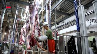 CEMSAN İlik Vakumlama Bölümü Slaughterhouse Systems  Mezbahane Sistemleri [upl. by Joliet]