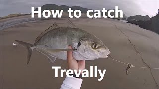 How to Catch Trevally  NZ Fishing Tutorial [upl. by Heigl]