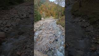 NICE VIEWS OF BISTRICA RIVER SLOVENIA 🇸🇮 JELENDOL MEDVODJE TRŽIČ SHORTS SLOVENIA NATURE [upl. by Thebault]