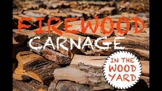 78  Firewood Delivery plus splitting and cutting more free wood [upl. by Euridice]