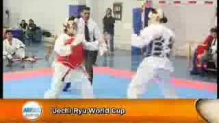 Uechi Ryu World Cup Argentina 2005 [upl. by Dorison]