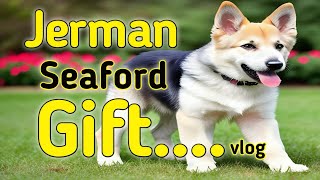 Jerman Seaford Puppy Gift Mila 🥳😳 vlog [upl. by Eruot]