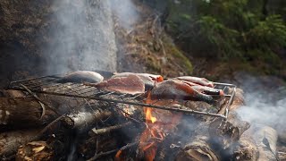 Trout Fishing  Catch and Cook On The Fire [upl. by Emily]