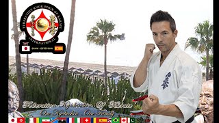 Taikiken amp Kyokushin – Spain Seminar 2024 [upl. by Mears999]