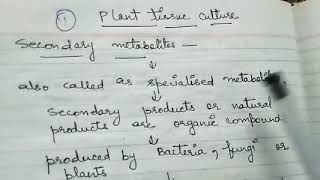 Secondary Metabolites Production in Plants  Secondary Metabolites by Ritikas Tutorial [upl. by Wilek]