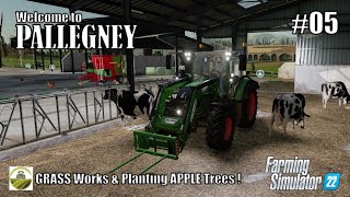 GRASS works amp Planting APPLE trees  05 PALLEGNEY  FS22  PlayStation 5 [upl. by Dremann13]