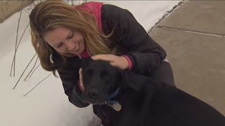 Dog alerts police officer helps save owners life [upl. by Ettennahs]