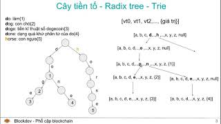 Ethereum là gì Phần 3 Ethereum patricia tree blockdev [upl. by Everest]