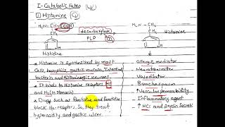 Histidine metabolism [upl. by Vassili352]