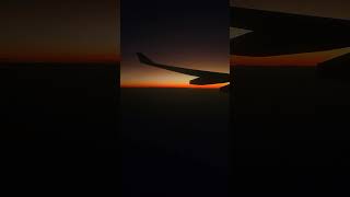 Sunset QF37 12 NOV 2024 [upl. by Uon]