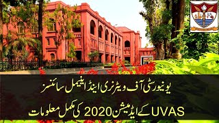 UVAS Admissions 2020  University of Veterinary amp Animal Sciences Lahore Pattoki Jhang amp Narowal [upl. by Oiled]