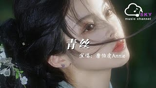 青絲  唐伯虎Annie『君不見 妾翠消紅減 ，君不見 妾泣涕漣漣』【動態歌詞】 [upl. by Dlorag]