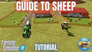 GUIDE TO SHEEP  Farming Simulator 22 [upl. by Ahseat]