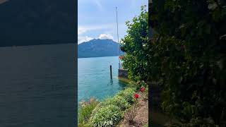 Beautiful Weggis Switzerland 🇨🇭 shorts travel beautiful switzerland shortvideo [upl. by Babara428]