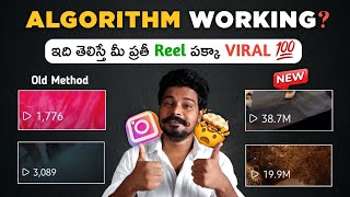 Secret Tips To Beat The Instagram Algorithm 2024 🤯📈 How To Make Reels Viral [upl. by Anerrol]