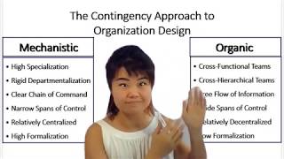 Organization Design Mechanistic vs Organic [upl. by Busch866]