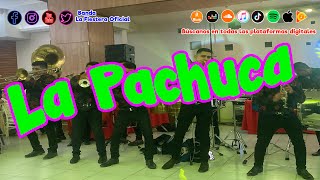 Banda la Fiestera Oficial  La Pachuca [upl. by Scopp]