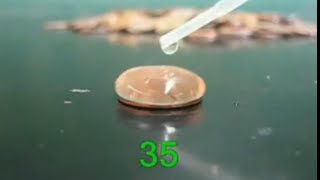 Hydrogen Bonding Water Drops On A Penny [upl. by Thekla959]