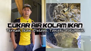 Jom Tukar Air Kolam Ikan Keli  Ternak Ikan Dalam Tangki Polytank  TV636 [upl. by Herwick605]